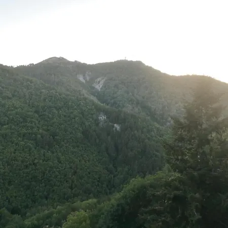 Pollino's 莫尔曼诺