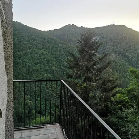 Pollino's 招待所 莫尔曼诺